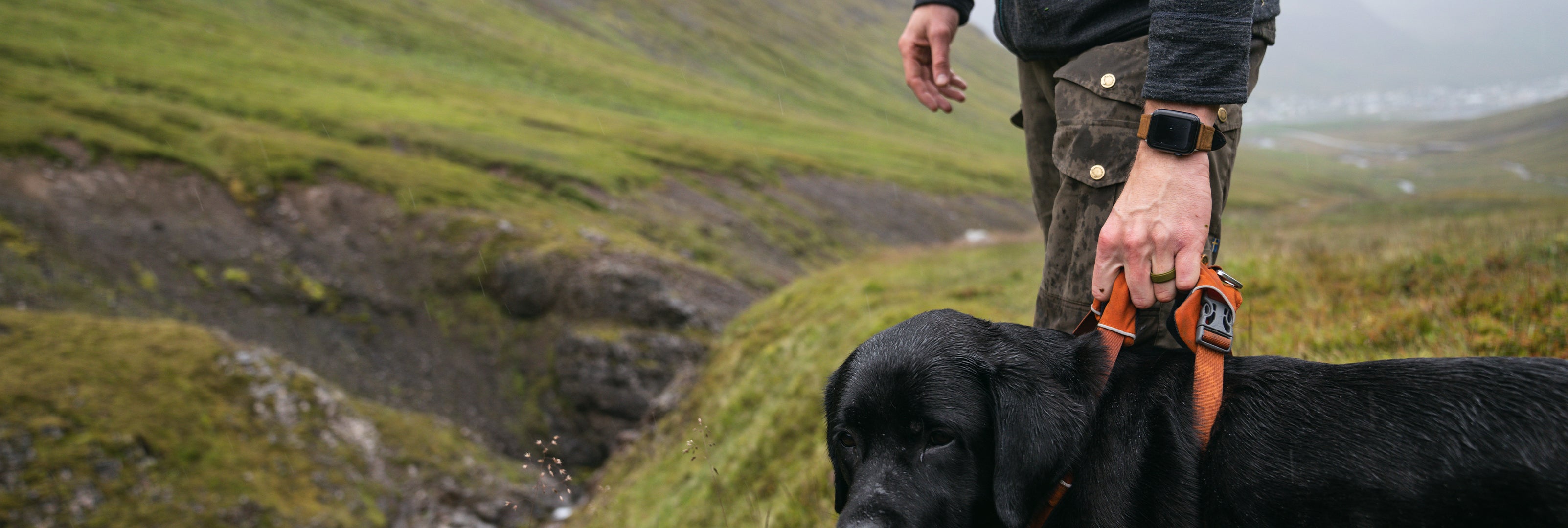 man walking his dog wearing a Groove Life ring and watch band